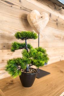 Ferienwohnungen Fiechtl - 1