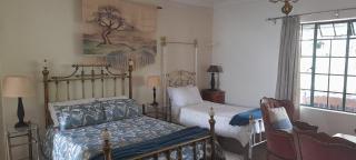 Rondebosch Gardens - 9