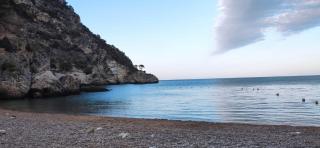 Lory's & lacy's luxury suite - 3