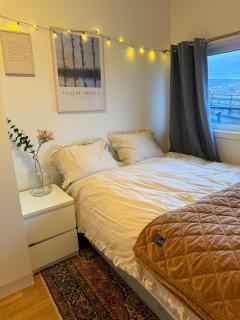 Large apartment in the city center with free parking! - 4