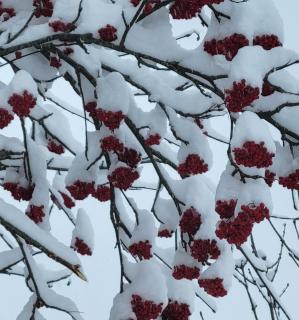 Le Calmadou - Formiguères - 9