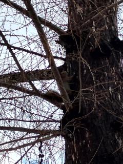 Jurin - Cozy cottage in Niseko Hirafu - 8