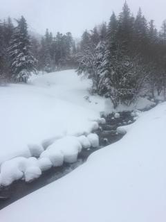 bel appartement du sancy - 5