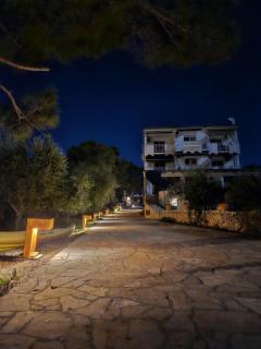 Gorgonia Apartments & Suites - Verunić - 5