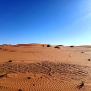 ERG MERZOUGA SAHARA CAMP - 8