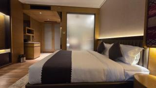 DLS Hotels Amritsar 200 Steps to The Golden Temple - 3