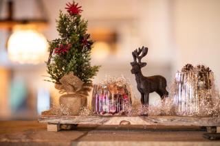 Ferienhaus Königsleiten 175 - 3