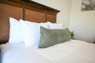 The Palapa House - 5