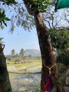 Hampi Nature Cottage - 0