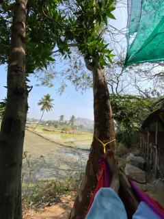 Hampi Nature Cottage - 5