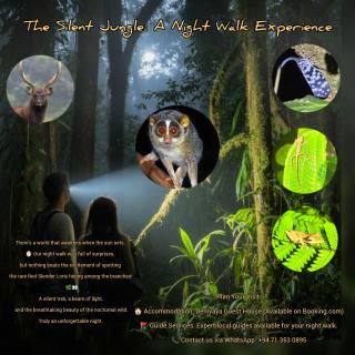 Deniyaya Guest House - 9