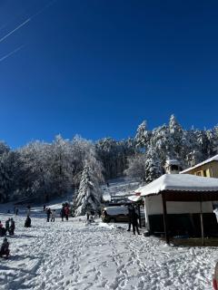 Фокс Хаус FOX HOUSE - 3