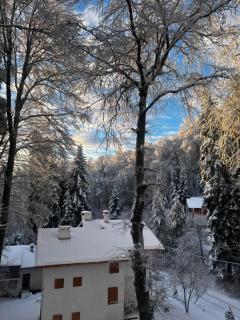 Фокс Хаус FOX HOUSE - 6