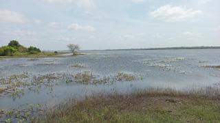 Lake Breeze Family Resort - 6