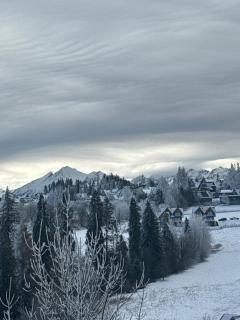 Apartament Chowańcówka z widokiem na góry typu studio obok stoków narciarskich i blisko basenów termalnych - 0