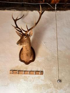 Casa de Piedra y Lombera - 7