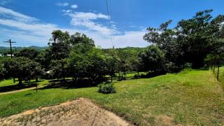 The Cuckoo's Call Self Catering - 6