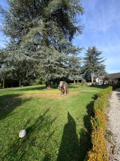 A timeless manor of discreet luxury and absolute privacy - 3