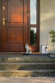 Agroturystyka Kaszmir Janów Podlaski - 8