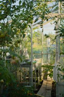 Agroturystyka Kaszmir Janów Podlaski - 7