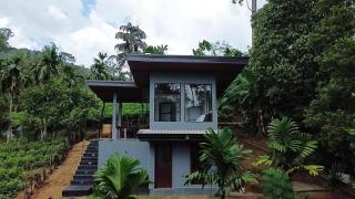 Rainforest cabin - 1