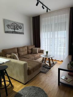 Vision apartmani Vrnjačka Banja - 8