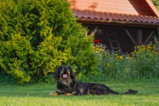 Agroturystyka Kaszmir Janów Podlaski - 4