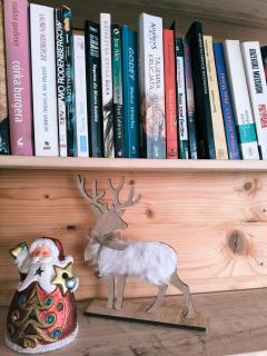 Cisza i Spokój Pieniny - 3