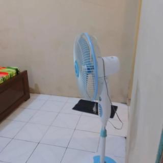 Baron Sari Homestay - 4