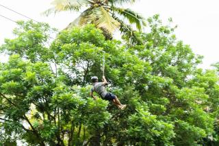 Elim Resorts,Bangalore - 0