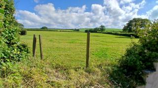 Hazel Cottage, Frithelstock - 7