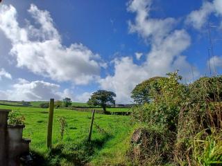 Hazel Cottage, Frithelstock - 5