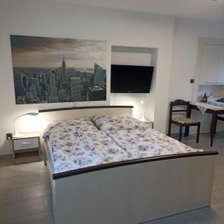 Apartmán HANA , Česká Třebová - 8