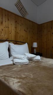 Hotel Acropolis Metsovo - 7