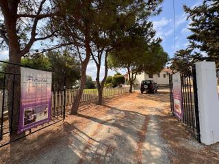 Elia Limnos - Plati - 8