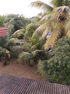 Serene Minuwangoda, near Katunayake - 2