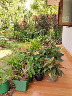 Golden Breeze Villa Bentota - 1