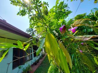 Golden Breeze Villa Bentota - 6