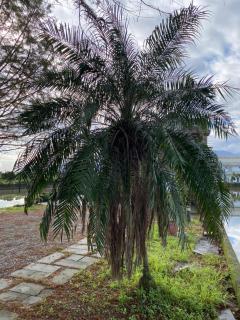 稻哪趣田園民宿 平價villa - 7