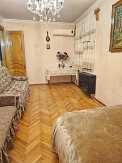 David,s Apartment in palm trees alley on Agmashenebeli - Kutaisi - 7