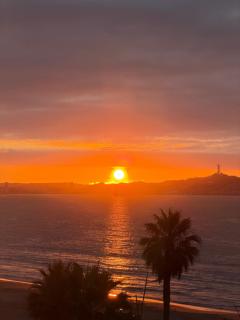 Avenida del mar - Primera Línea de Lujo - 6
