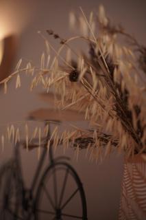 Retreat in the Gers with Pool, Bikes and Starry Skies - 1