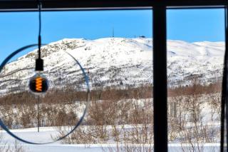 Cabin in Hovden - 0