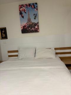 Sun &rose condotl - 6