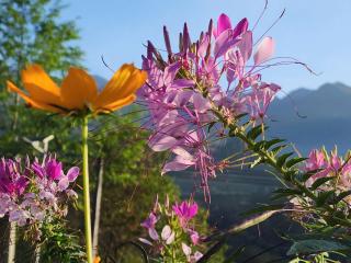 La Pan Tan Eco Lodge - Mu Cang Chai - 4