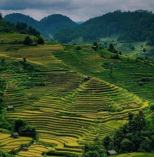 La Pan Tan Eco Lodge - Mu Cang Chai - 3