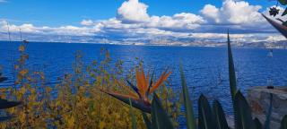 Linamare Maistro - 3