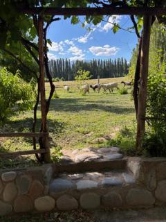 Casa de campo - Uspallata - 3