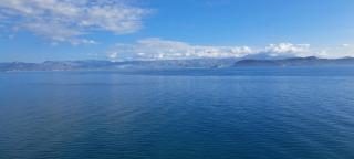 Linamare Maistro - 5