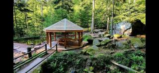 Gite Vosges Village Paisible - 8